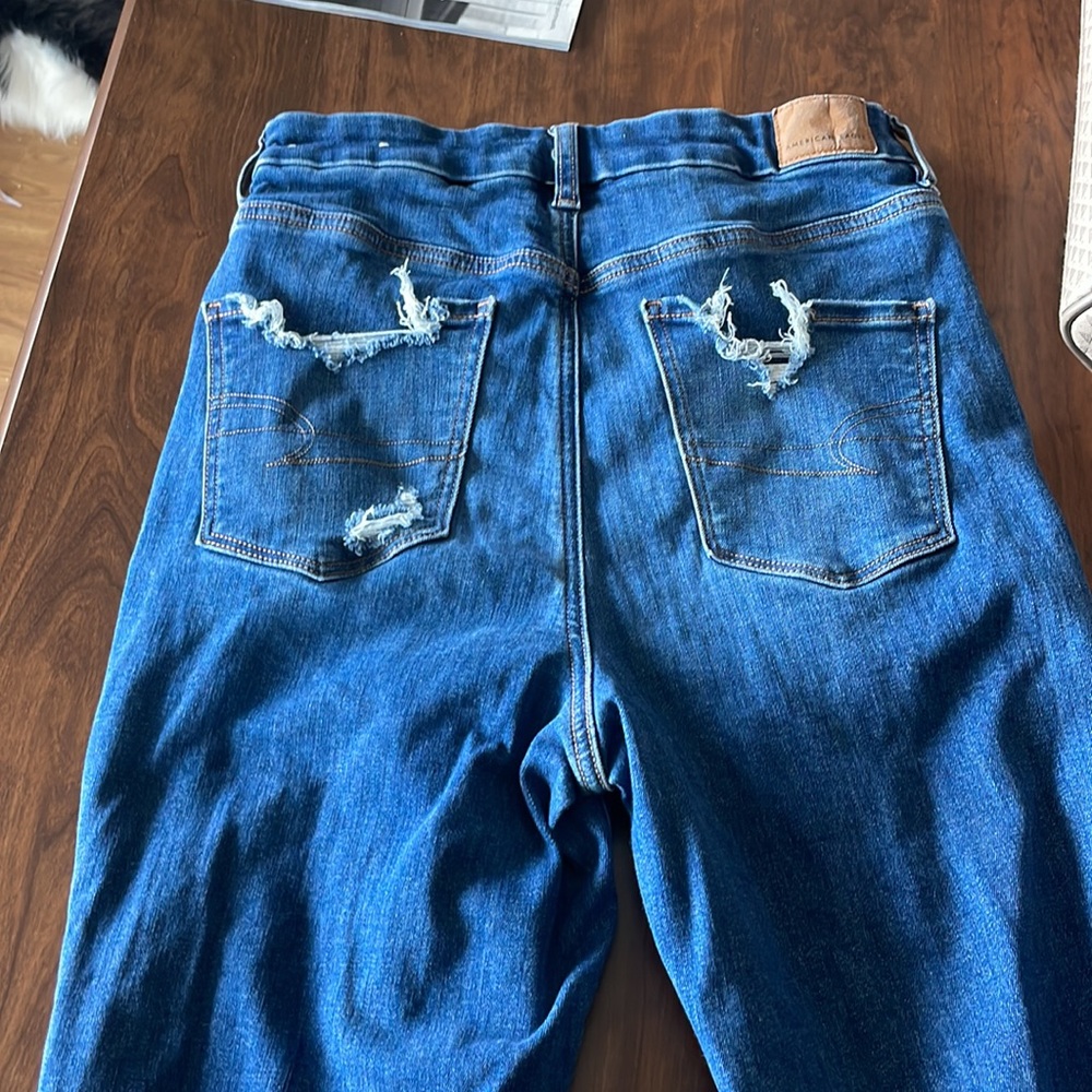 American eagle - Picture 2 of 2